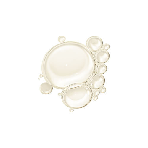 Skin Therapy - Huile-Sérum Nuit